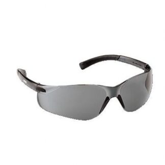 ECHO Jet Glasses OEM #102922451