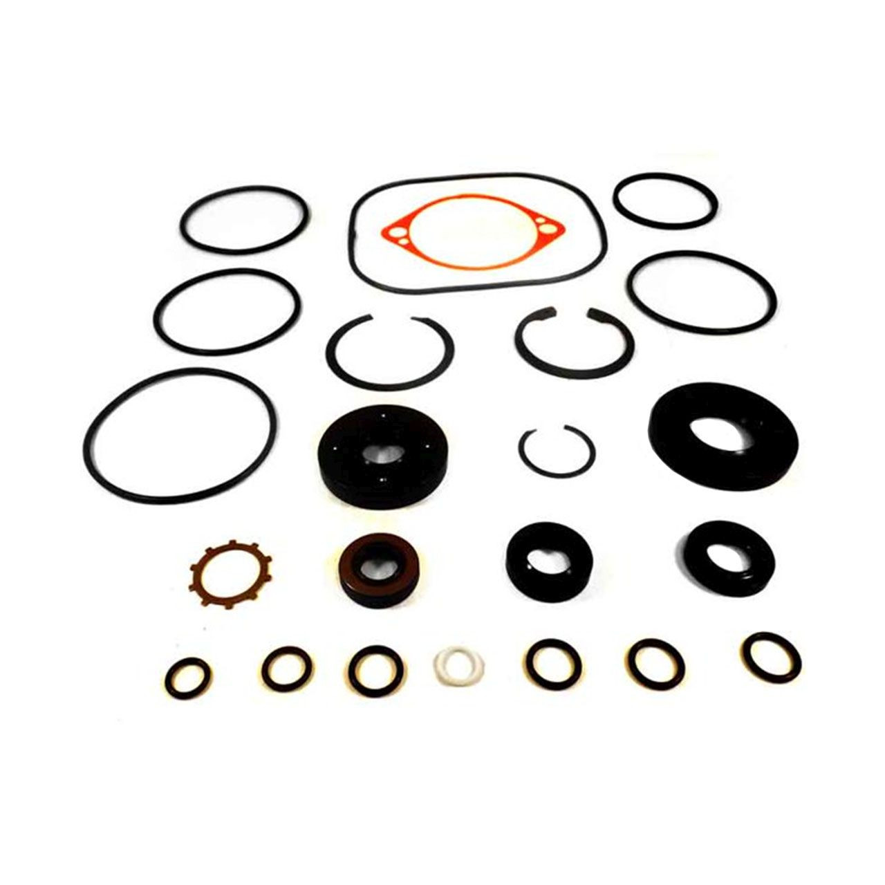 Hydro Gear Overhaul Seal Kit OEM #2510073 | Safford