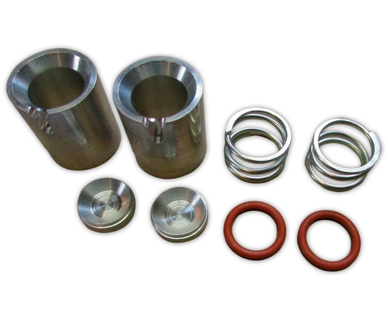 Hydro Gear Out Board Brake Bore Plug Kit OEM #72828 | Safford