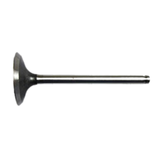 Kawasaki Intake Valve OEM #12004-7002