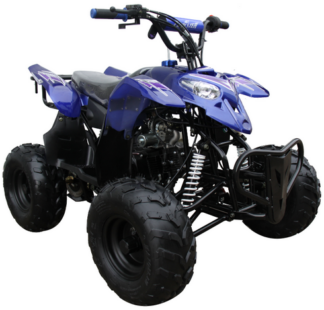 Trailmaster Mini 110cc Sport ATV