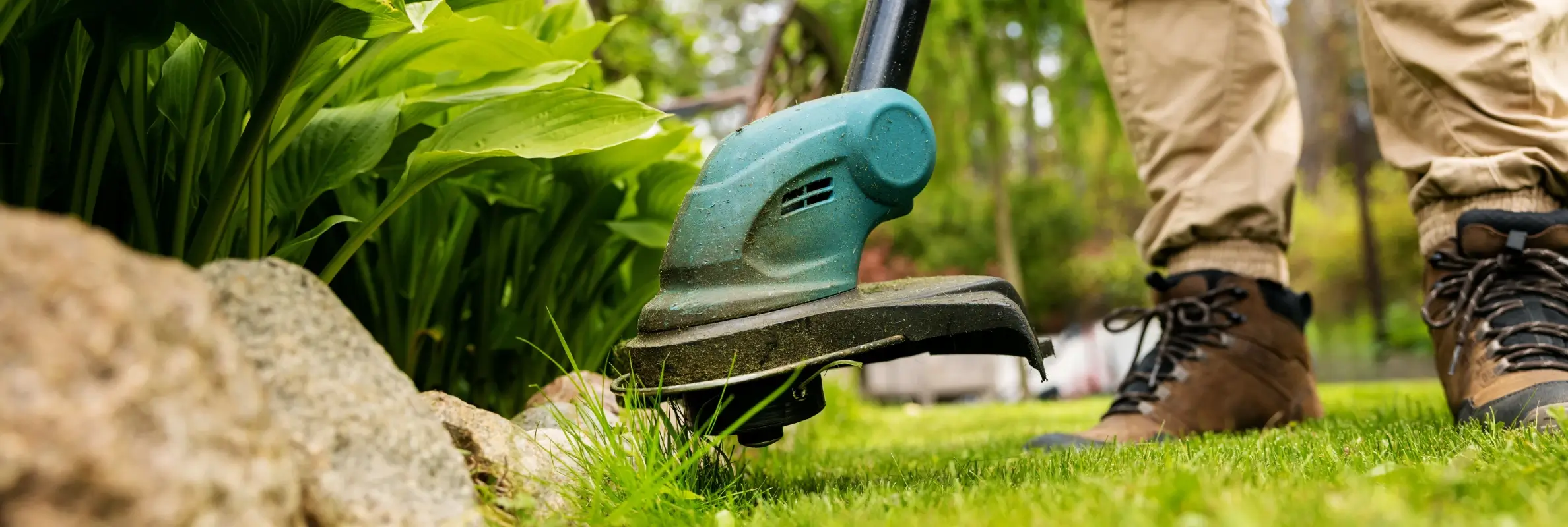Close-up of a person using an electric string trimmer to edge grass along a garden border with rocks and leafy plants
